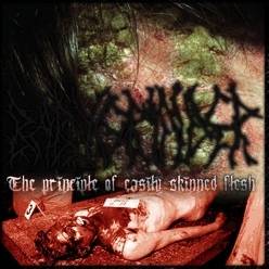 Babygrinder : The Principle of Easily Skinned Flesh Babygrinder : The Principle of Easily Skinned Flesh